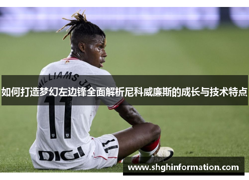 如何打造梦幻左边锋全面解析尼科威廉斯的成长与技术特点