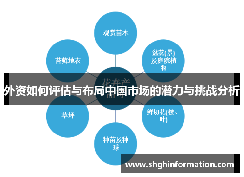 外资如何评估与布局中国市场的潜力与挑战分析