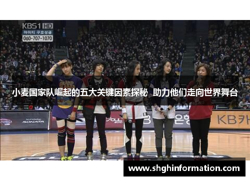 小麦国家队崛起的五大关键因素探秘  助力他们走向世界舞台