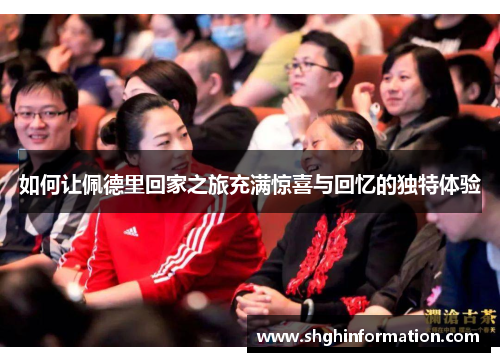 如何让佩德里回家之旅充满惊喜与回忆的独特体验