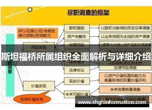 斯坦福桥所属组织全面解析与详细介绍